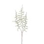 Rama artificial de esparrago amarguero HANS, verde, 70cm