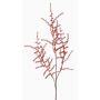 Rama artificial de esparrago amarguero JOCHEN, naranja, 70cm