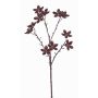 Rama de anís estrellado artificial DELANO con frutos, marrón, 60cm