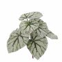 Begonia de hoja pintada sintética KATRICE, con vara de fijación, verde-gris, 25cm
