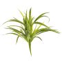 Planta cinta de plástico TASMIN con palo, verde-blanco, 35cm, Ø40cm