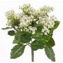 Kalanchoe artificial LORRE con palo, para estancias resguardadas, blanco, 35cm, Ø30cm