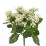 Kalanchoe artificial LORRE con palo, para estancias resguardadas, blanco, 35cm, Ø30cm