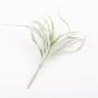 Tillandsia Stricta de plástico ADELE con palo, verde-gris, 25cm, Ø20cm