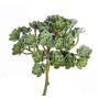 Echeveria de plástico BLAIR, con vara, verde, 20cm, Ø10cm