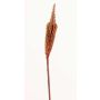 Bulbinella de plástico TALUNA, marrón-rojo, 65cm, Ø4cm