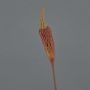 Bulbinella de plástico TALUNA, marrón-naranja, 65cm, Ø6cm