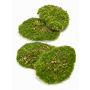 Trozos de musgo sintético HEFEI, 4 unidades, verde, 11x15x5cm