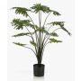 Falso filodendro Selloum AWEO, 95cm