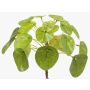 Planta china del dinero de plástico SYBIL, verde, 13cm
