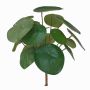 Planta china del dinero de plástico SYBIL con varilla, verde, 20cm