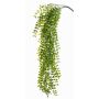 Ficus trepador falso CABOT con palo, para espacios resguardados, 80cm