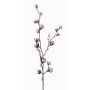 Rama decorativa de algodón EYCK, floración, verde, 95cm