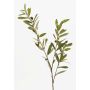 Rama de olivo de plástico PARKER con frutos, 80cm