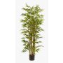 Planta artificial de bambú HIKITO, tallos naturales, 175 cm