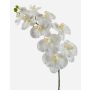 Rama artificial de orquídea Phalaenopsis ANAT, crema, 100cm
