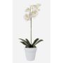 Orquídea de plástico Phalaenopsis ISIS, maceta de cerámica, blanca, 55 cm