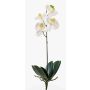Orquídea Phalaenopsis de plástico ISIS, con palo, blanco, 40cm