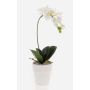 Orquídea de plástico Phalaenopsis ISIS, maceta de cerámica, blanca, 40 cm