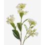 Hortensia falsa ALAZNE, crema, 75cm