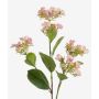 Hortensia falsa ALAZNE, rosa, 75cm
