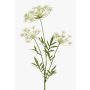 Rama de eneldo artificial HAKIM con flores, blanco, 80cm