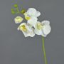 Rama de orquídea Phalaenopsis de imitación MINA, blanca, 55cm