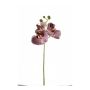 Rama de orquídea Phalaenopsis de imitación MINA, rosa, 55cm