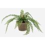 Helecho artificial «BELONA» en maceta de terracota, verde, 50 cm
