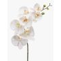 Rama de orquídea Phalaenopsis de imitación NEITH, blanca, 85cm