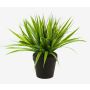 Caña artificial ARIANO, verde, 30cm
