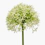 Allium de plástico ARNAU, verde crema, 60cm