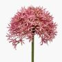 Allium de plástico ARNAU, fucsia, 60cm