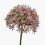 Allium de plástico ARNAU, rosa, 60cm