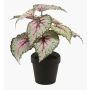 Begonia de hoja pintada sintética MEIRA, verde-rosa, 25cm