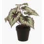 Begonia de hoja pintada sintética MEIRA, verde-violeta, 25cm
