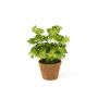 Trébol artificial NICCOLO en maceta decorativa, verde, 25 cm