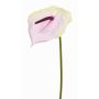 Flor artificial de flamenco MOIRA, crema-rosa, 75cm, 13x18cm