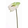 Flor artificial anthurium MOIRA, blanco-verde, 75cm, 13x18cm