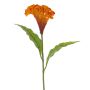 Flor artificial «cresta de gallo» ANUBIS, naranja, 60 cm, Ø 14 cm
