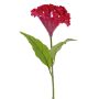 Flor artificial «cresta de gallo» ANUBIS, violeta-rojo, 60 cm, Ø 14 cm