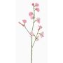 Flor decorativa Lathyrus ASFALOTH, rosa, 65 cm, Ø 3-5 cm