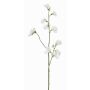 Flor decorativa Lathyrus ASFALOTH, blanca, 65 cm, Ø 3-5 cm