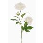 Peonía artificial ONYX, blanco cremoso, 75 cm, Ø 10-13 cm