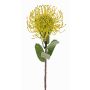 Alfiletero artificial de protea BAILY, amarillo-verde, 55 cm, Ø 10 cm