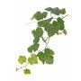 Rama de parra artificial BJON, crossdoor, verde, 60 cm