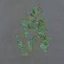 Rama decorativa de eucalipto COBAR, en flor, crossdoor, verde, 65 cm, Ø 1,5 cm