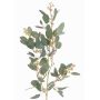 Rama decorativa de eucalipto COBAR, en flor, crossdoor, verde, 65cm, Ø1,5cm