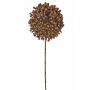 Flor seca de allium BOCELLI, marrón, 70cm, Ø14cm