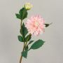 Dalia aterciopelada PATRITZIA, rosa-rosa, 55 cm, Ø 4-9 cm